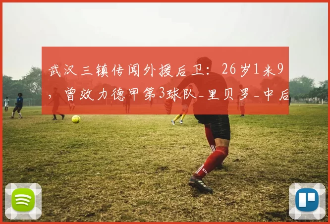 武汉三镇传闻外援后卫：26岁1米9，曾效力德甲第3球队_里贝罗_中后卫_消息