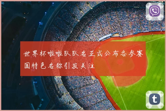 世界杯啦啦队队名正式公布各参赛国特色名称引发关注